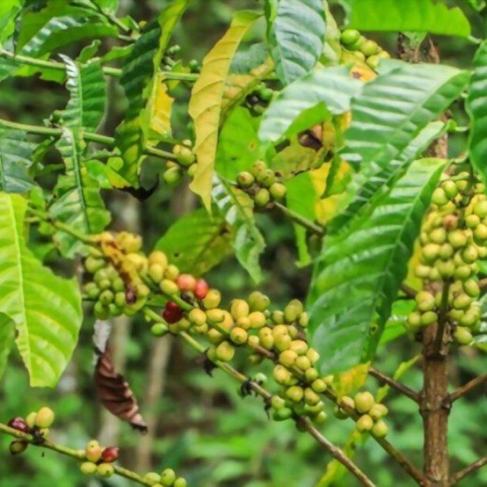 [GetPaidStock.com]-62ebece1503f5