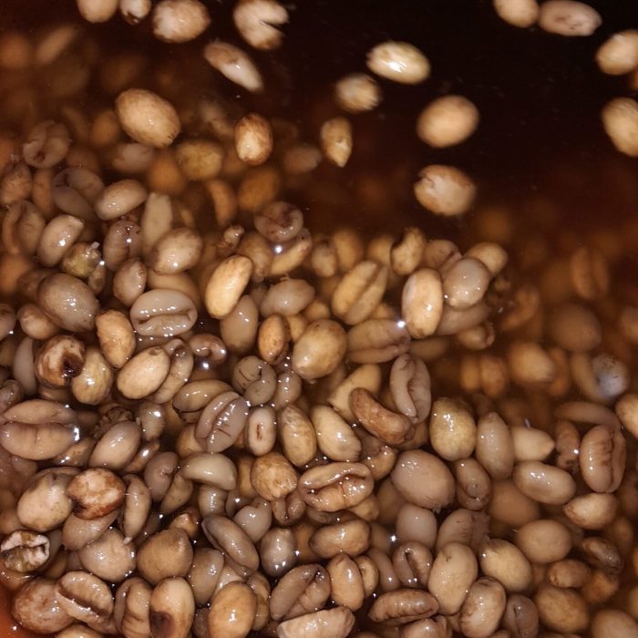 Pencucian setelah fermentasi