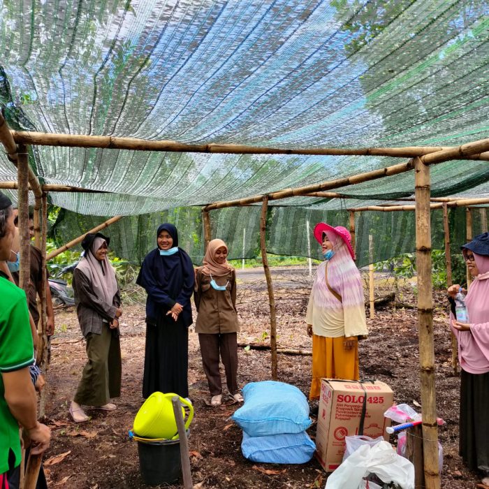 kegiatan-persiapan-penyemaianan-bibit-kopi-1